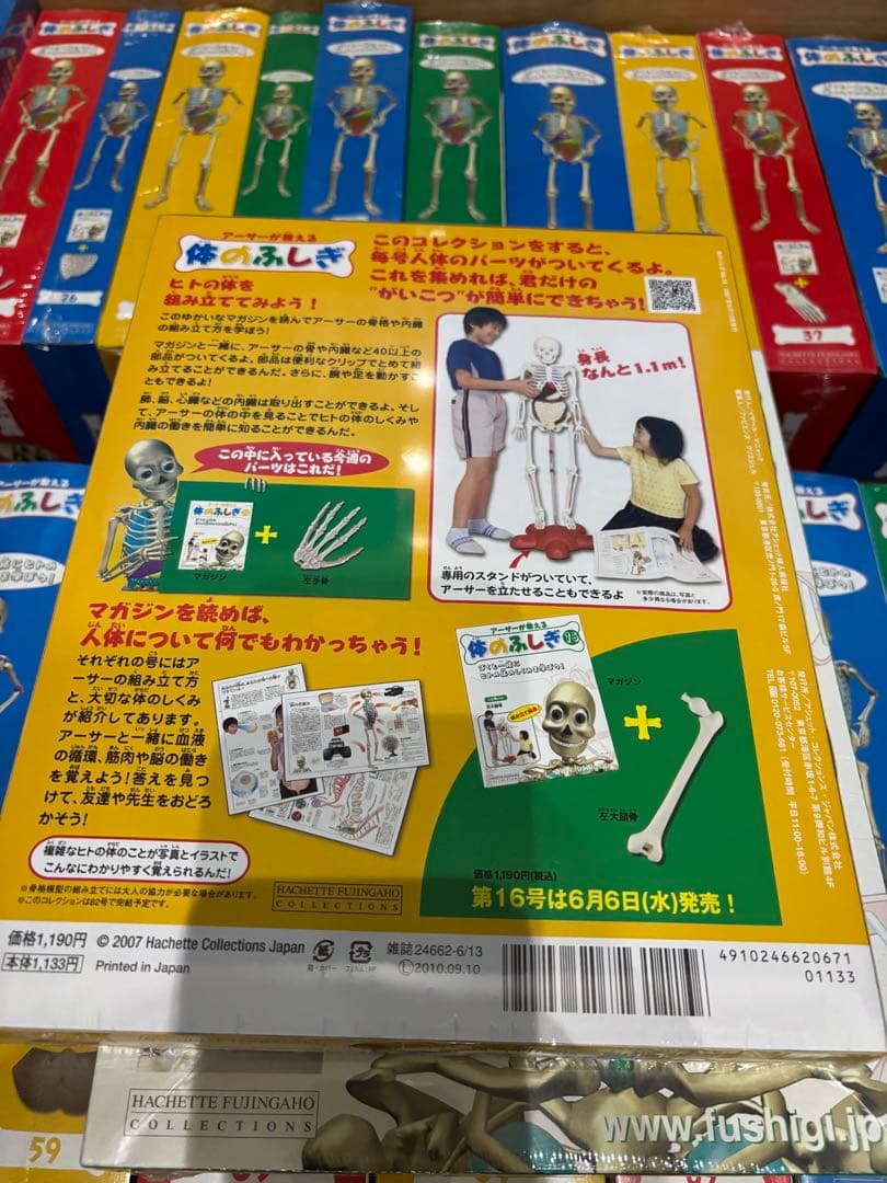 体のふしぎ 人体模型シリーズ