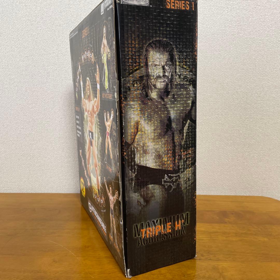 マキシマムアグレッション　トリプルH プロレス　フィギュア　12インチ