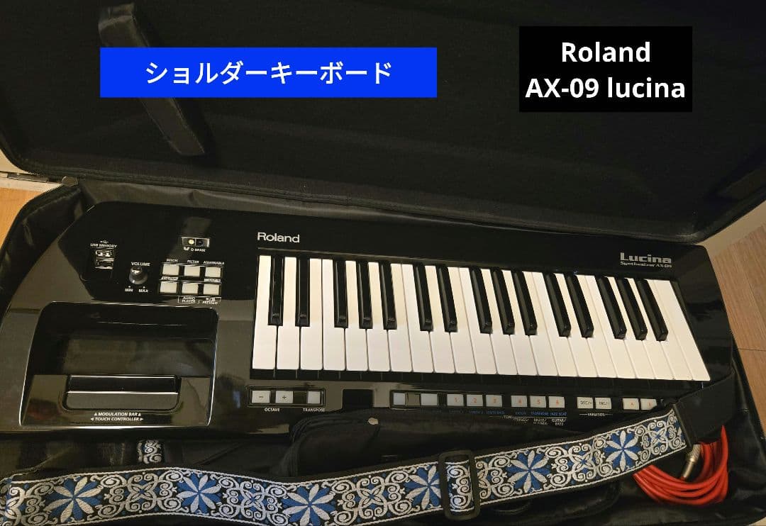 Roland Lucina AX-09 ケース付