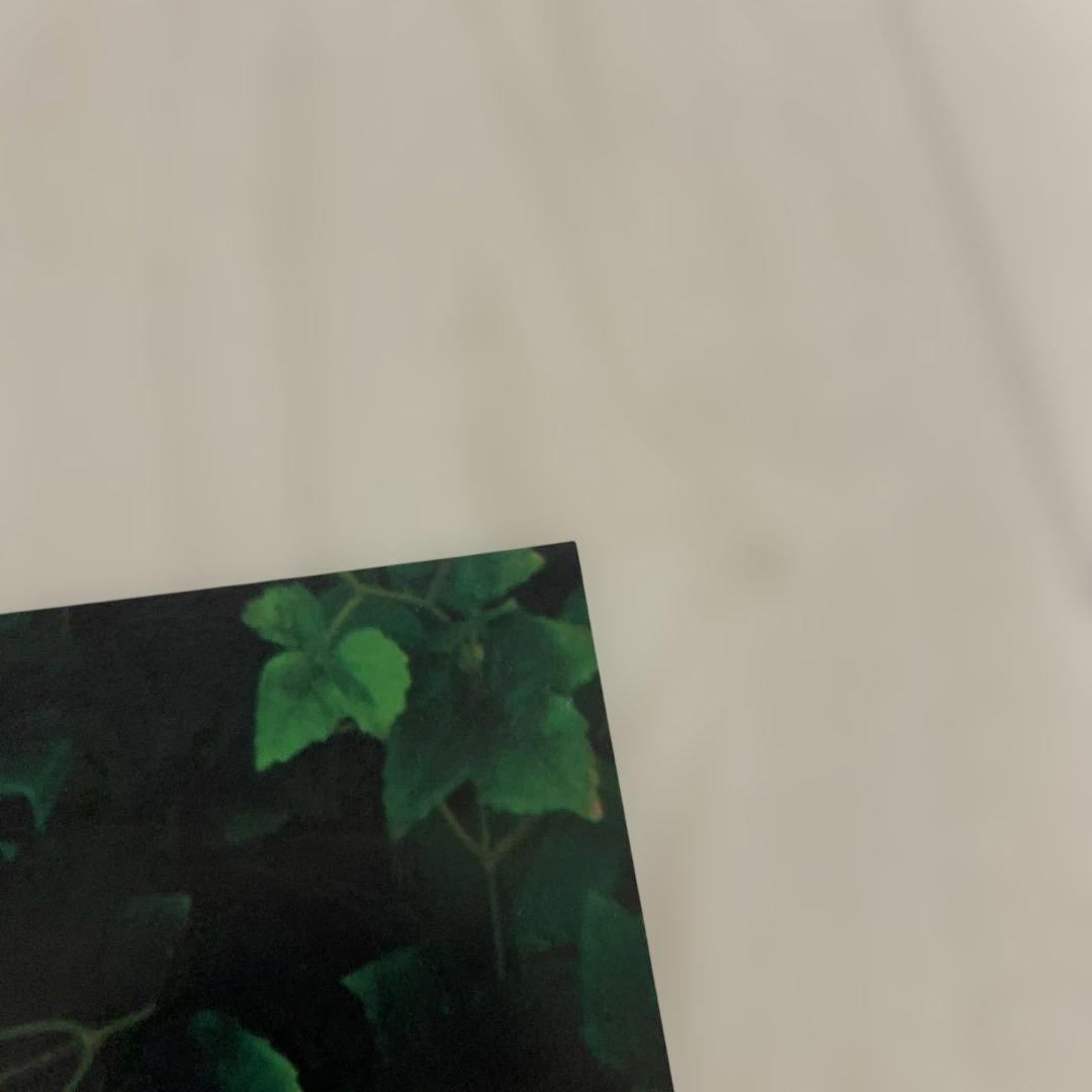 西野カナ Love Collection mint 直筆サイン　アルバム当選品