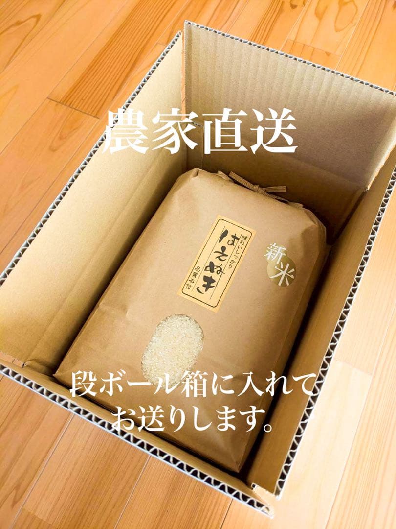 農家直送！令和７年産　はえぬき　山形県庄内産　白米２０ｋｇ