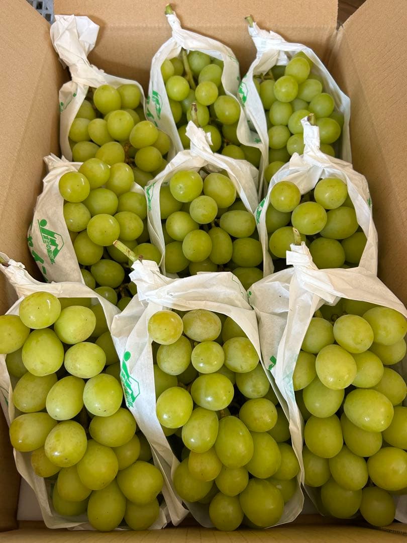 専用　クール　ぶどう　シャインマスカット 正味5キロ　家庭用