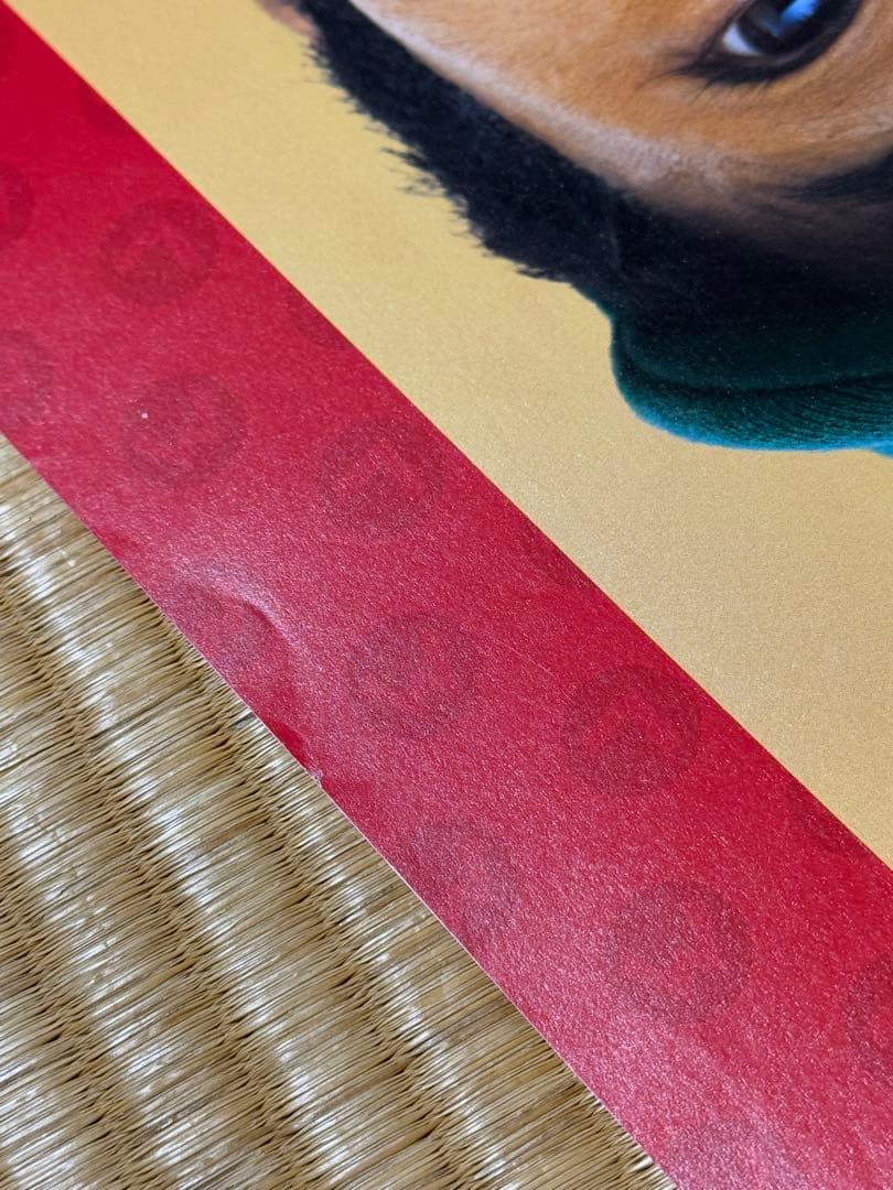 マリオカート DS & マリオブラザーズ B2サイズ 告知ポスター2枚セット