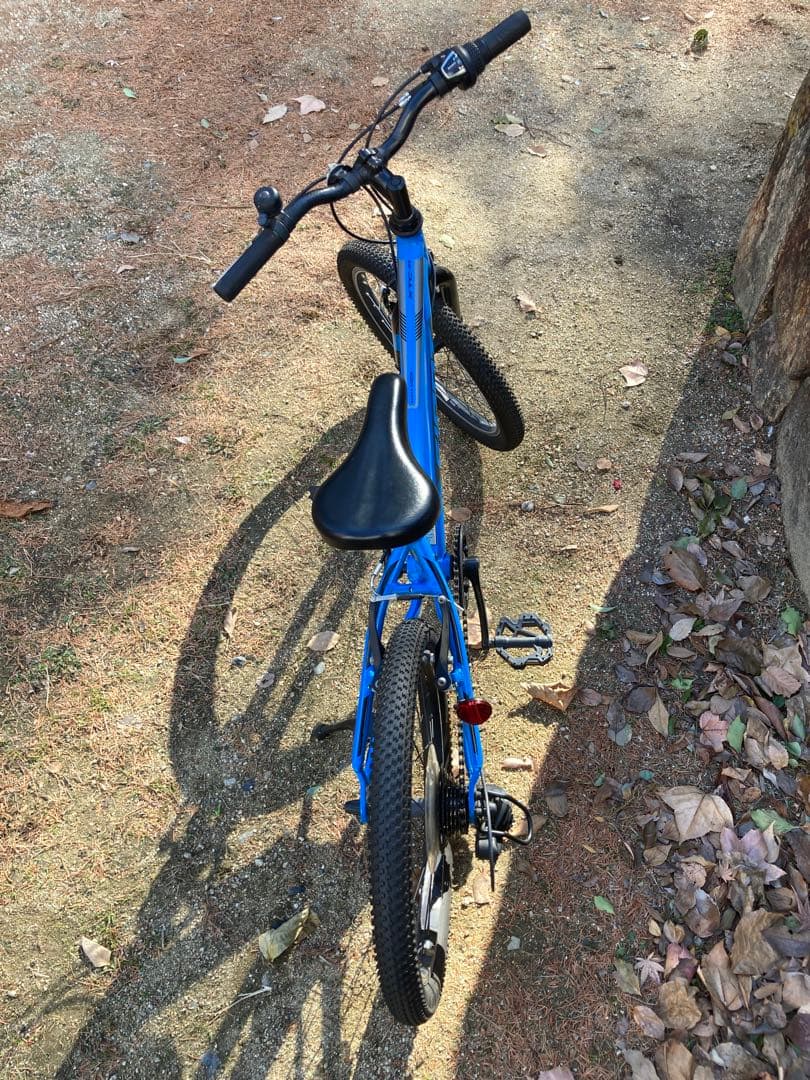 【bridgeworks】Giantキッズバイク　20インチ