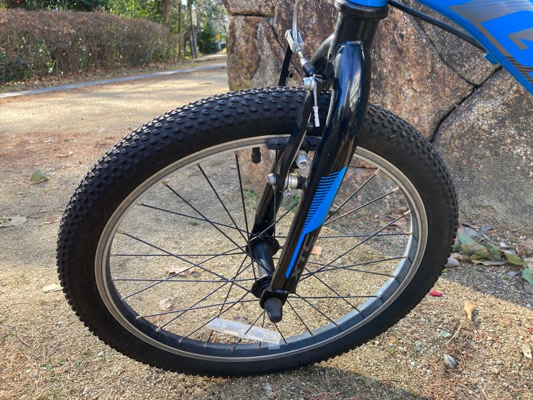 【bridgeworks】Giantキッズバイク　20インチ