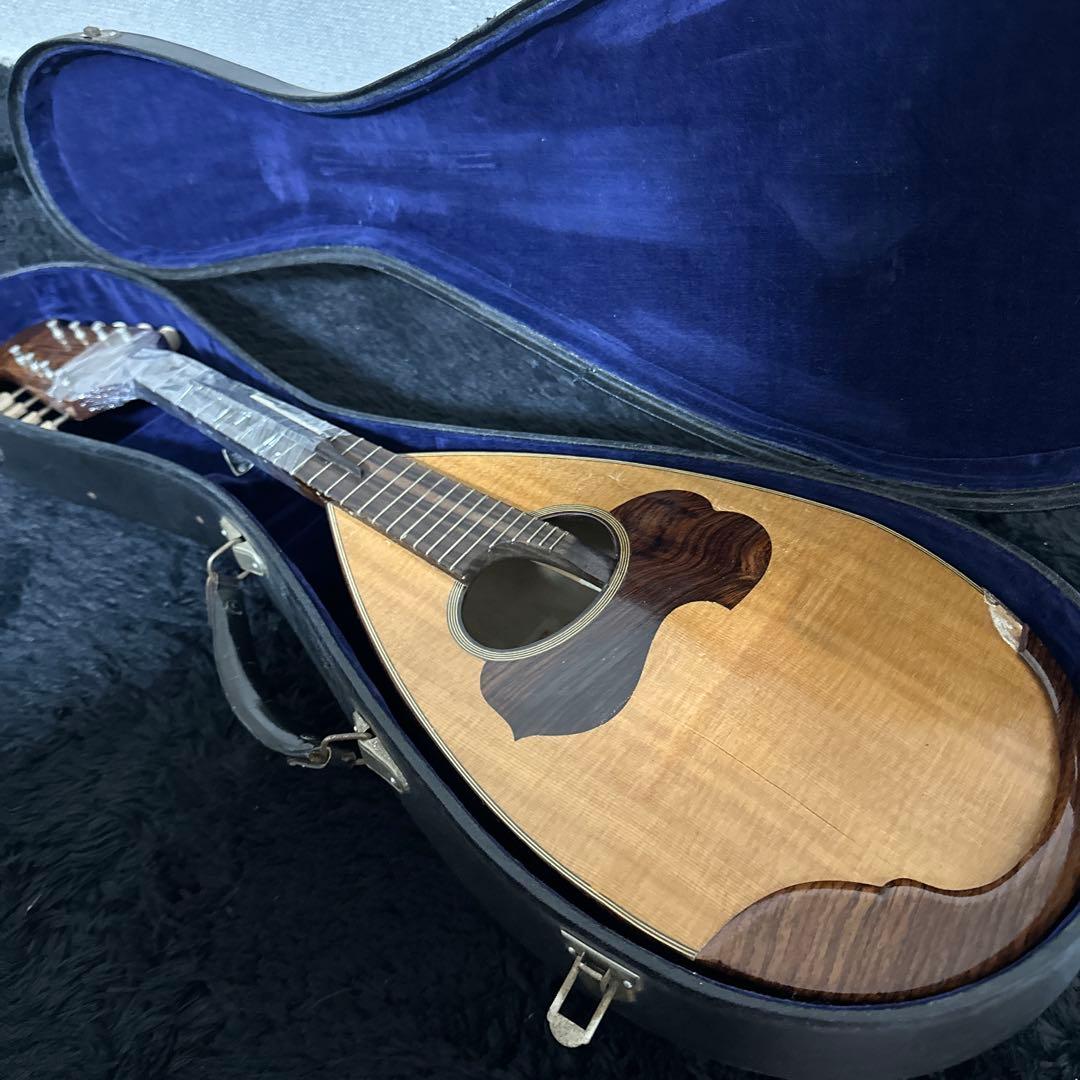 野口 賢 M.NOGUCHI マンドリン ハードケース付属 弦楽器 レア