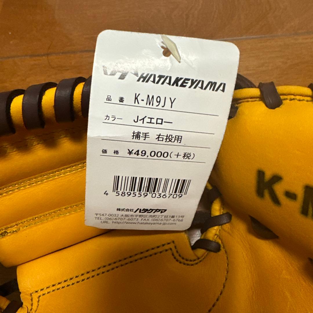 HAITAKEYAMA K-M9JY 硬式グローブ Jイエロー