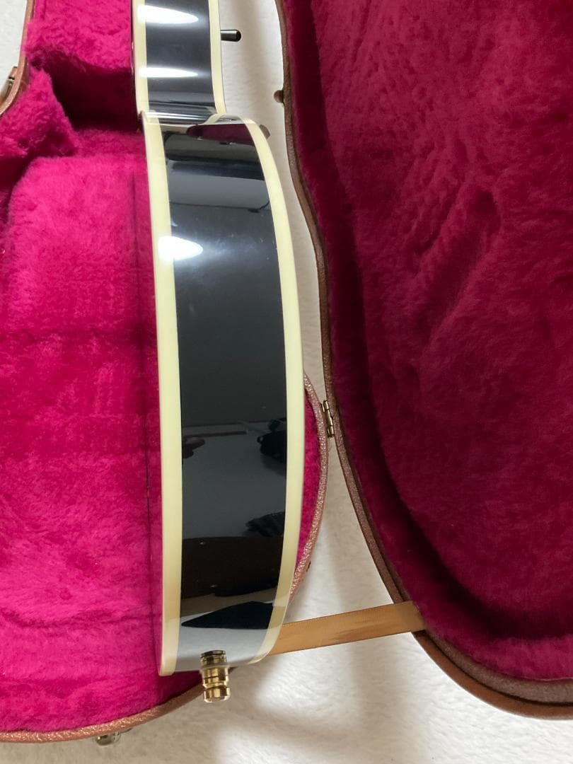 Cool Z Les Paul Custom DiMarzioピックアップ