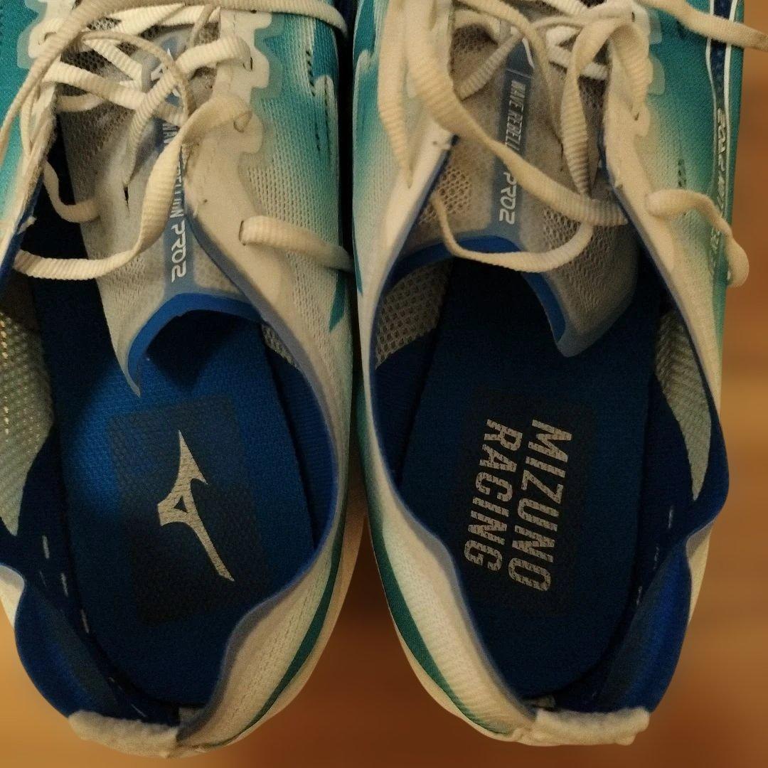 ミズノ ウエーブリベリオンプロ２ 29.0cm