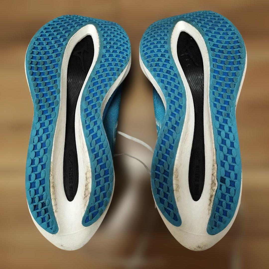 ミズノ ウエーブリベリオンプロ２ 29.0cm