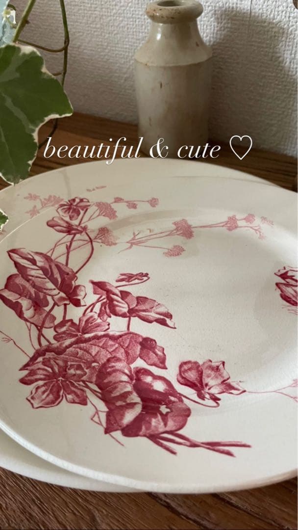 *️⃣プロフ必読❣️1枚の価格 Bアンティーク フランス プレート