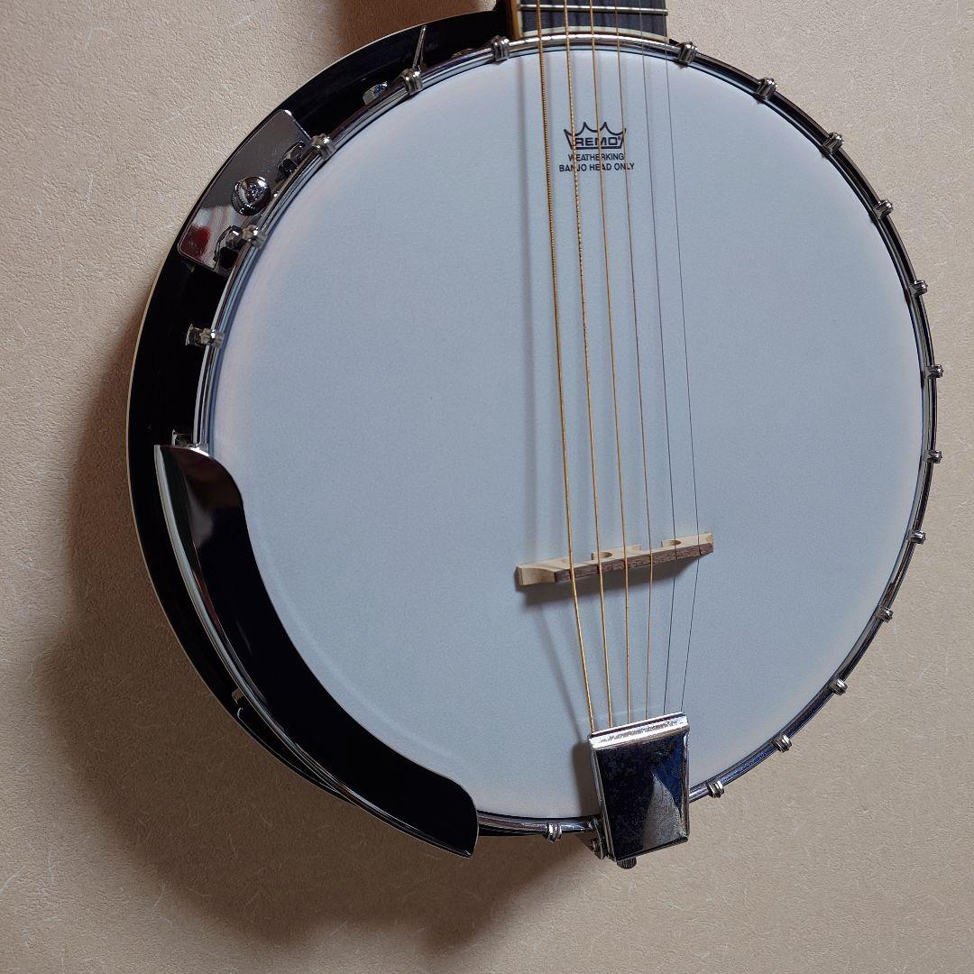 ARIA ギターバンジョー SB-10G