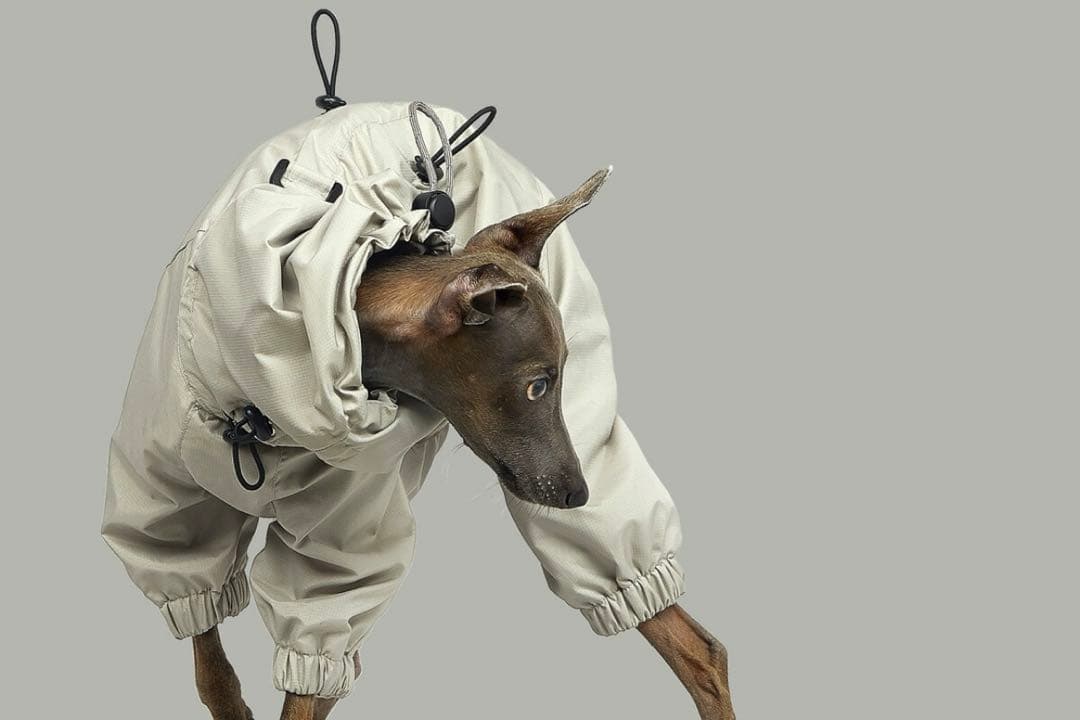 vemvem｜Gravity Super Breaker｜S