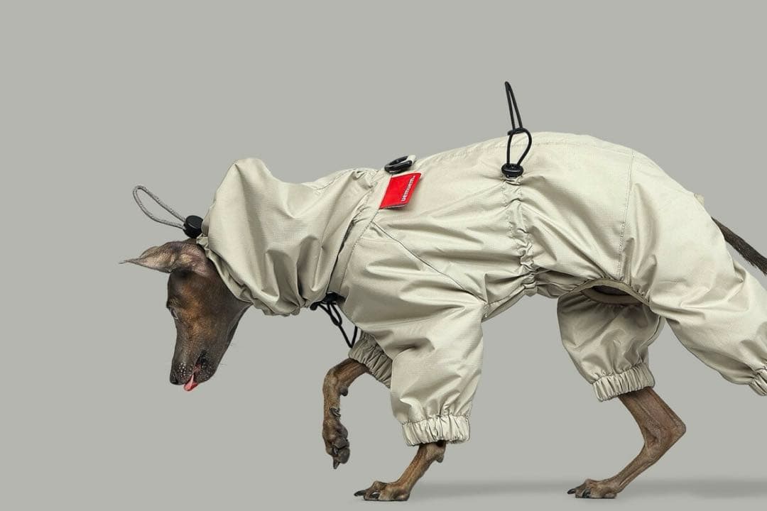 vemvem｜Gravity Super Breaker｜S