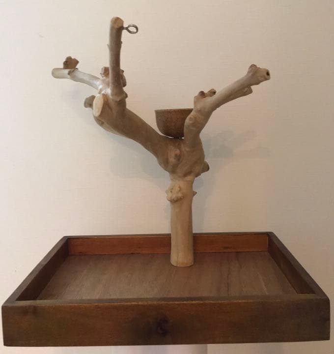 ジャワツリー　バードジム　卓上　バードスタンド　鳥　インコ