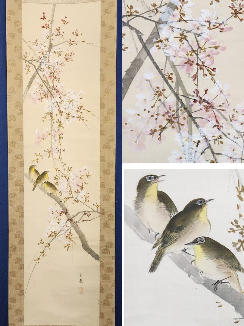 【桜花目白図】今井景樹 2669 サクラにメジロ 共箱 掛け軸 肉筆