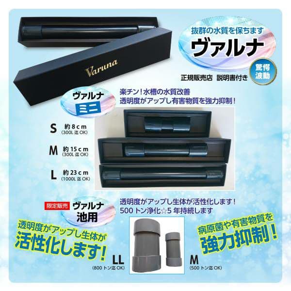 水質アップにはコレです！【ヴァルナ】有害物質を強力抑制し透明度が抜群になります！