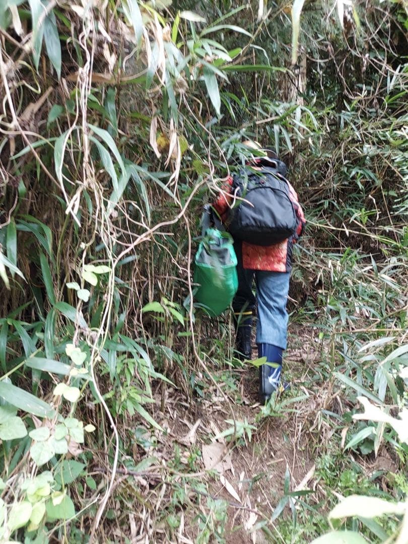 はちみつ　日本蜜蜂のハチミツ　奥山の奥の蜂蜜　国産蜂蜜愛媛産　２種