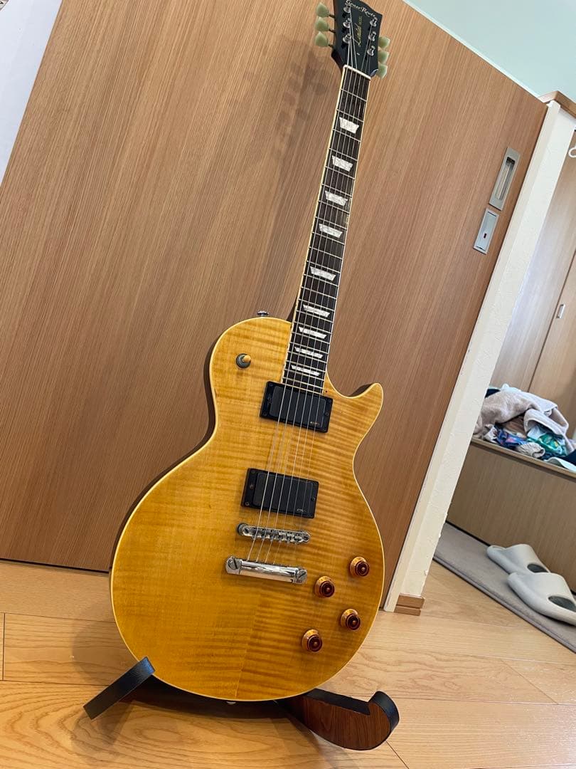 グラスルーツ　リミテッドモデル　EMGピックアップ　ソフトケース付