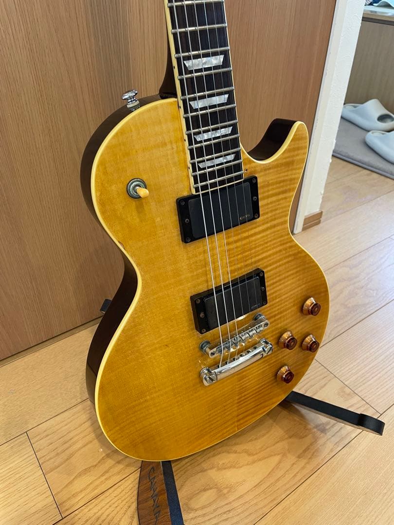 グラスルーツ　リミテッドモデル　EMGピックアップ　ソフトケース付