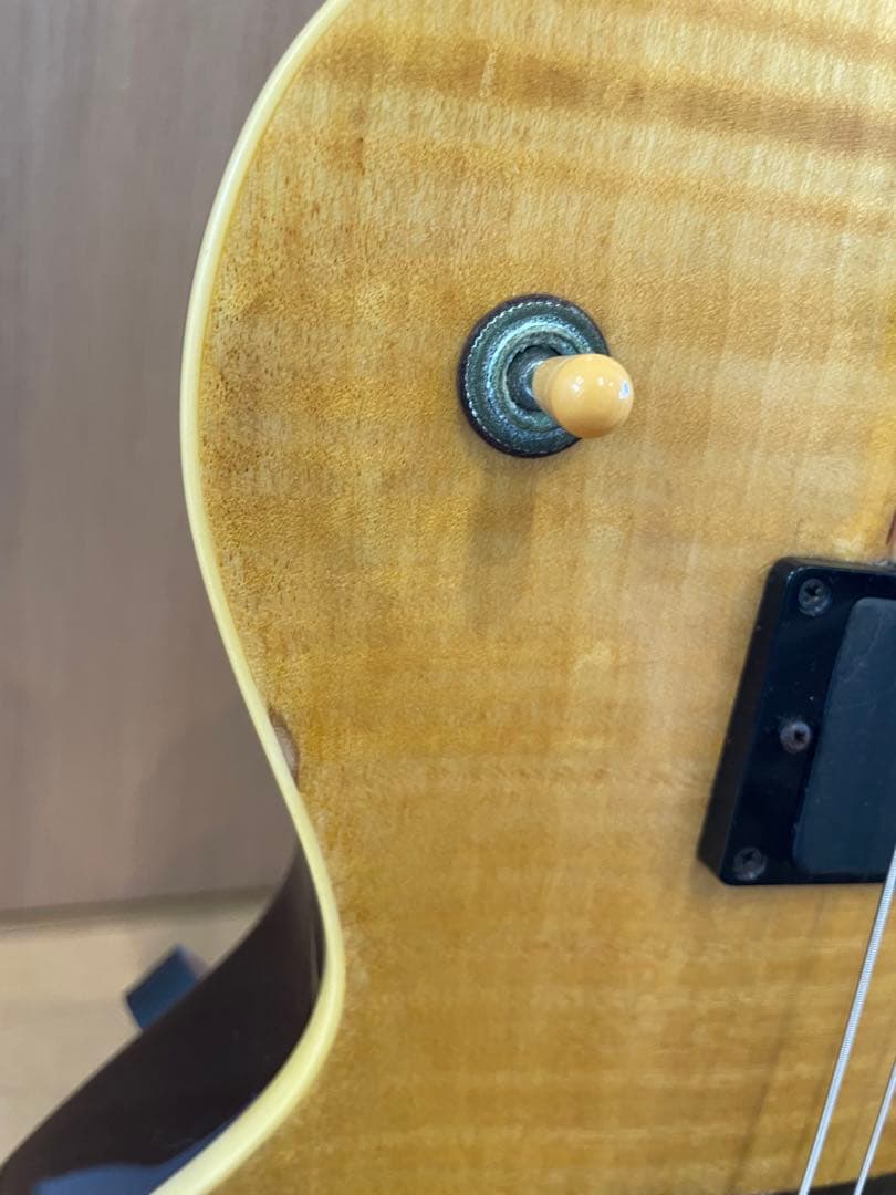 グラスルーツ　リミテッドモデル　EMGピックアップ　ソフトケース付