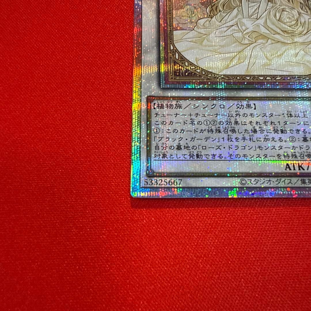 【まとめ買い割引】 ガーデン・ローズ・メイデン プリシク プリズマ 絵違い