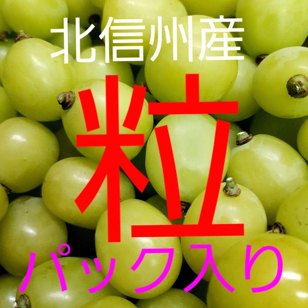 シャインマスカット増量の、大粒多め入り徳用5.5キロ粒バック入りになります。