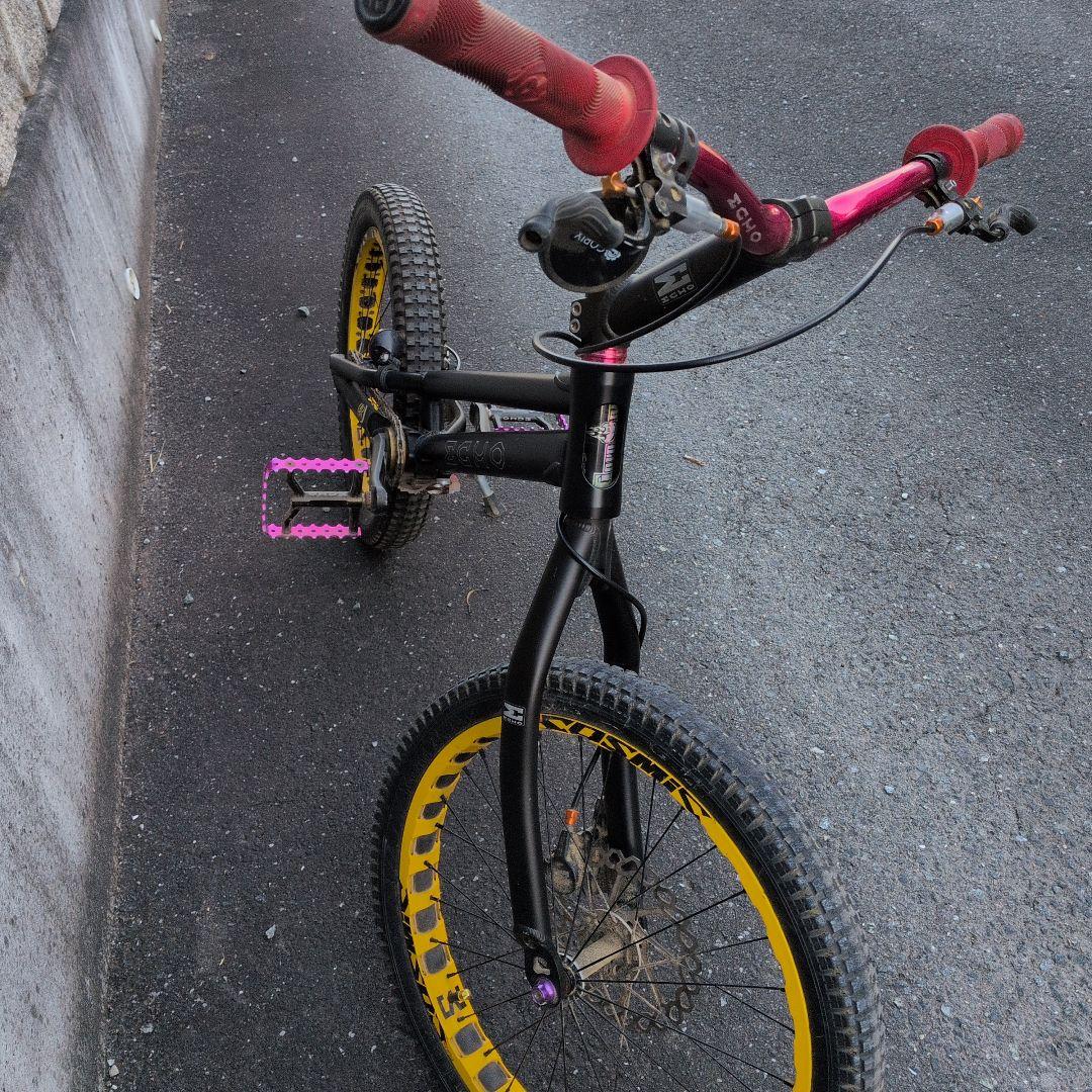 トライアル　自転車　エコー　送料込み