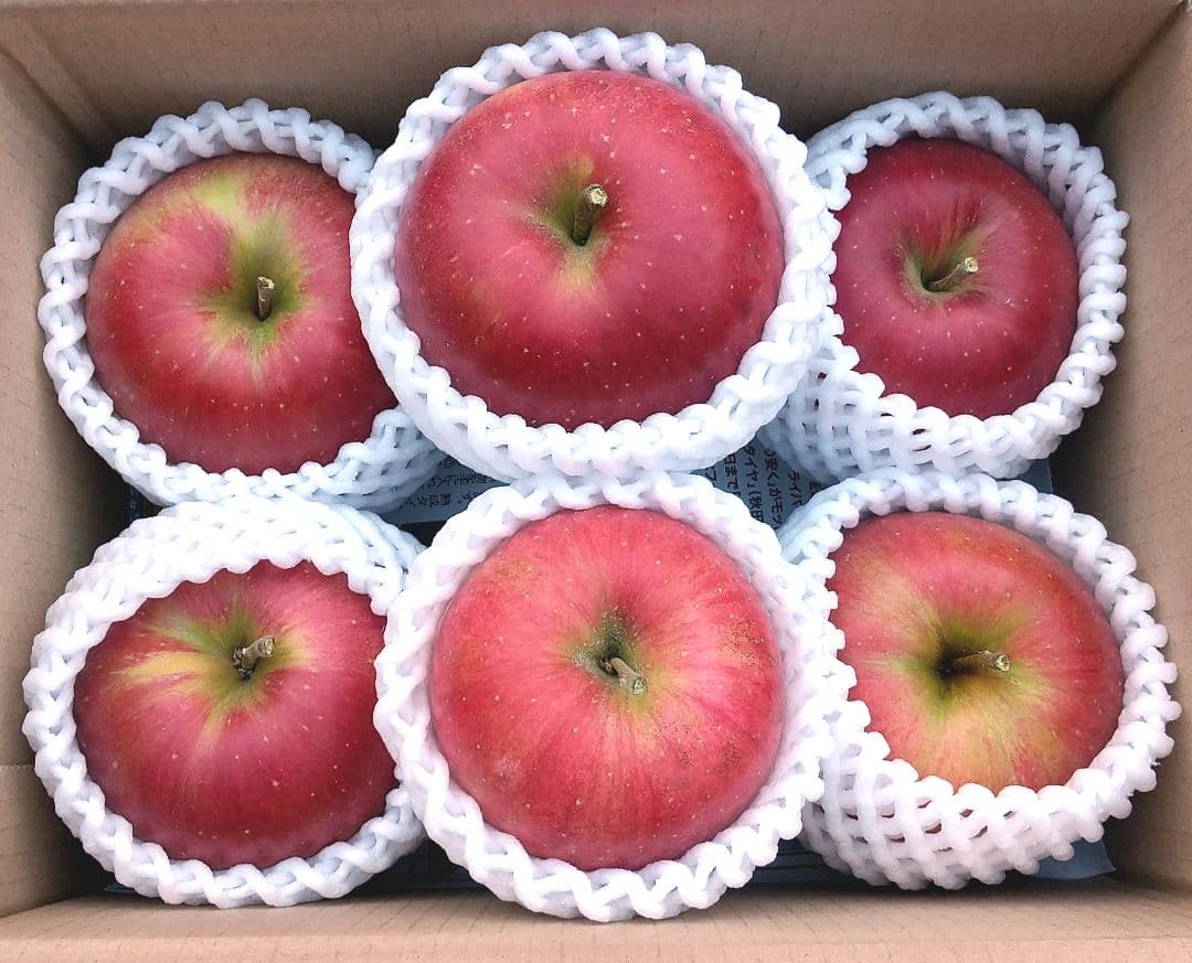 お得　高糖度のシナノスイート10k じぃじの美味しい林檎