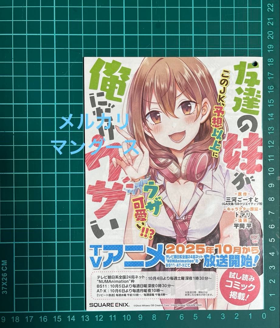 アニメ　友達の妹が俺にだけウザい　ポスター他