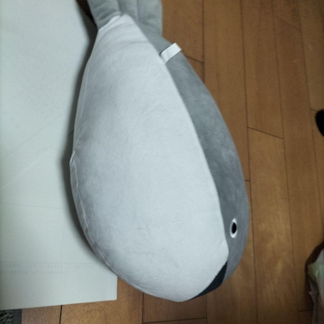 ゲーセンで女の子から貰った魚