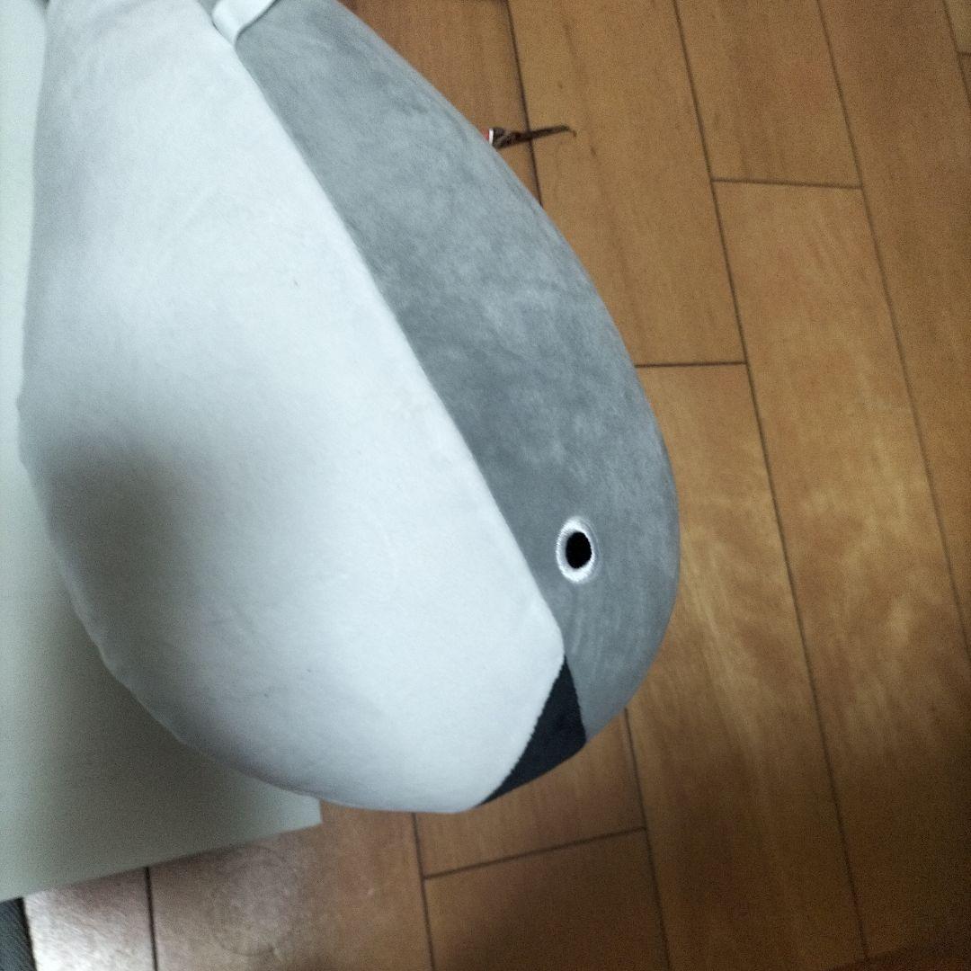 ゲーセンで女の子から貰った魚