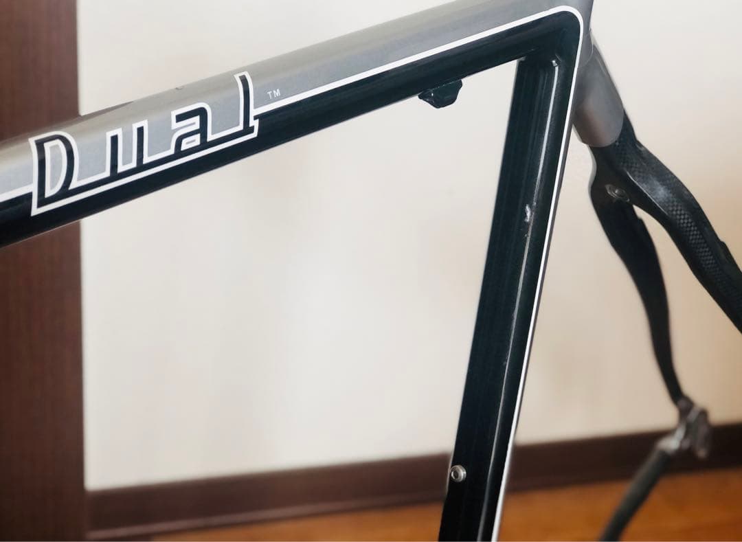DEROSA Dual デローザ　デュアル　ロードバイクフレーム