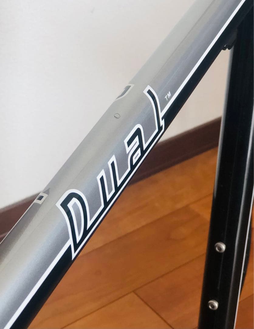 DEROSA Dual デローザ　デュアル　ロードバイクフレーム