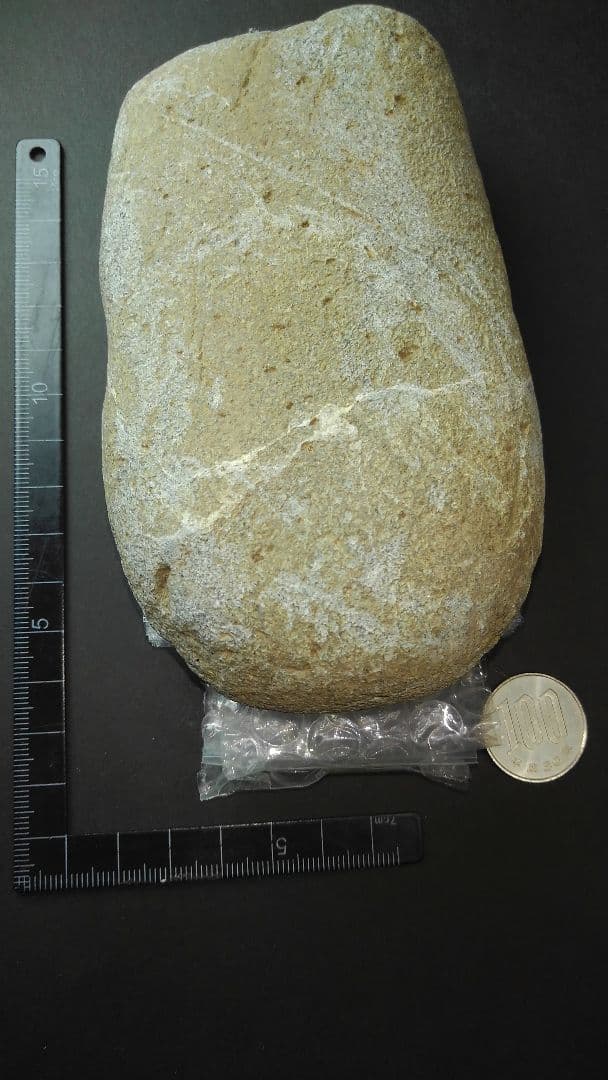 磨製石斧(出土品)　旧石器時代　【約13㎝×7・5㎝×3・5㎝】約750gです。