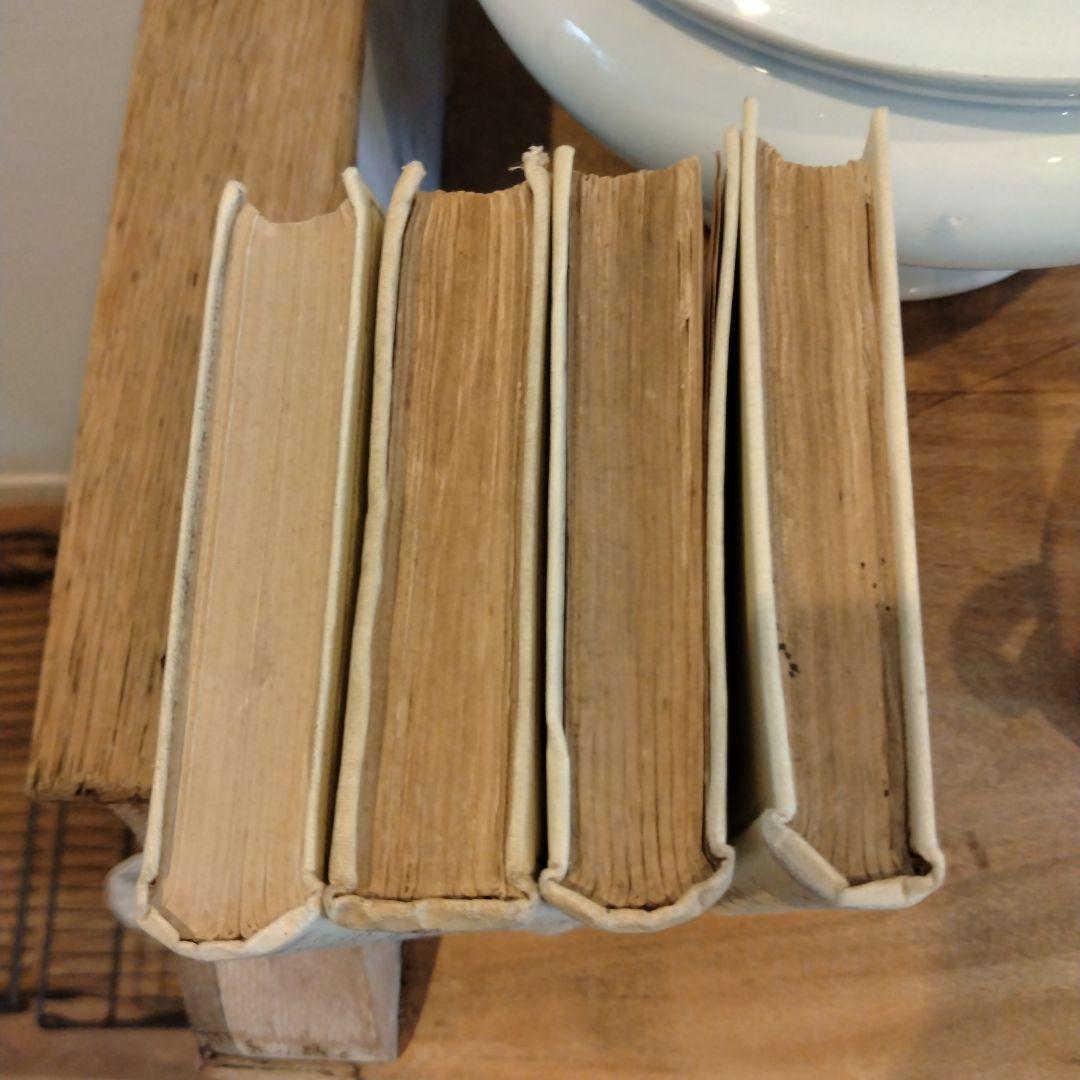 Très bon様フランスアンティークネルソン(NELSON)ゴールド4冊本