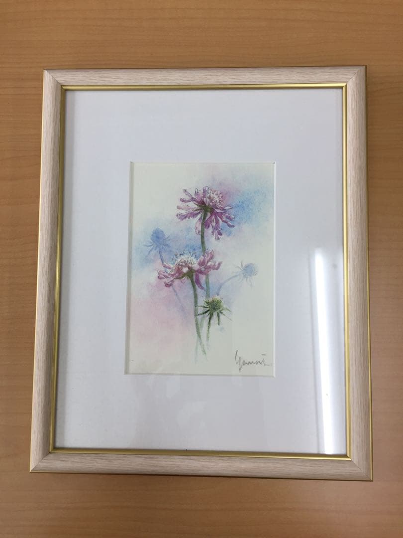 ★柳井 貴光 takamitu yanai 水彩画 「マツムシソウ」