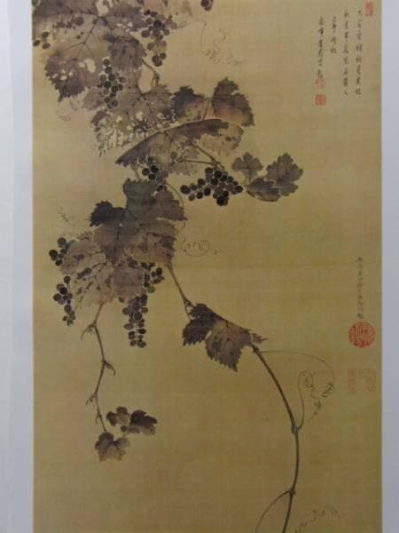 伊藤若沖、葡萄図、超希少・大判画集画、新品高級額装付
