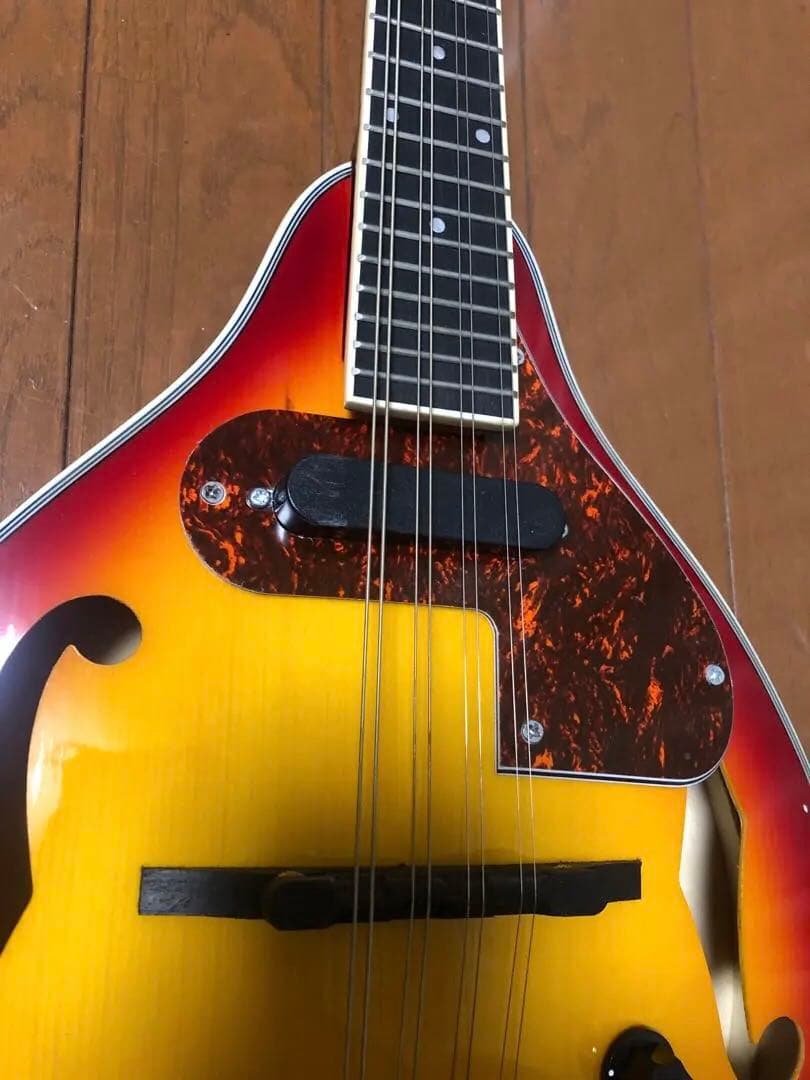 ノーブランドの￼￼エレクトリックフラットマンドリン￼