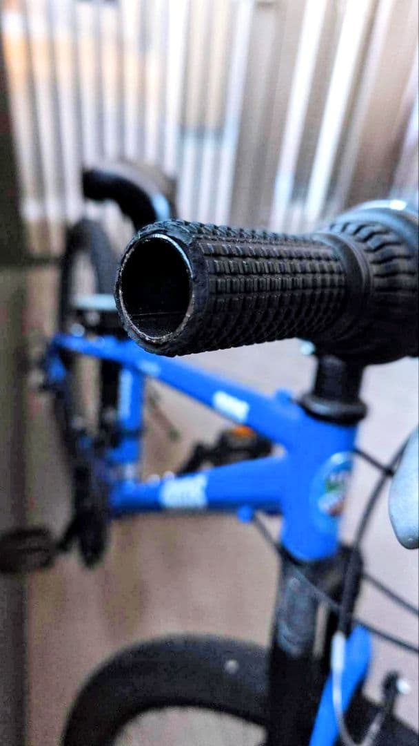 [直接受け取りのみ] GIOS キッズマウンテンバイク 22インチ