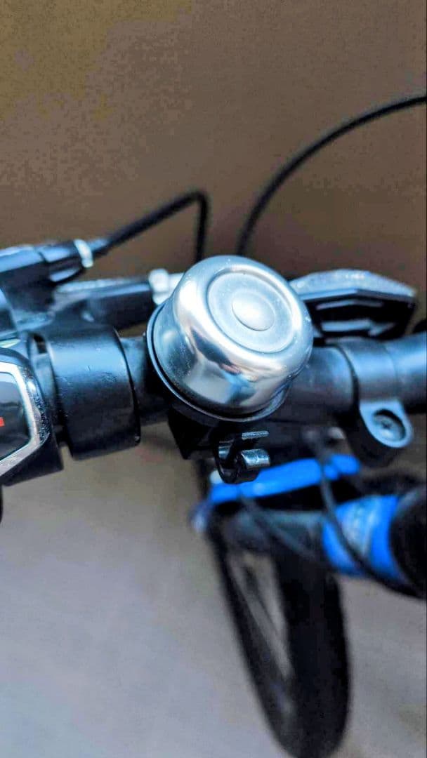 [直接受け取りのみ] GIOS キッズマウンテンバイク 22インチ