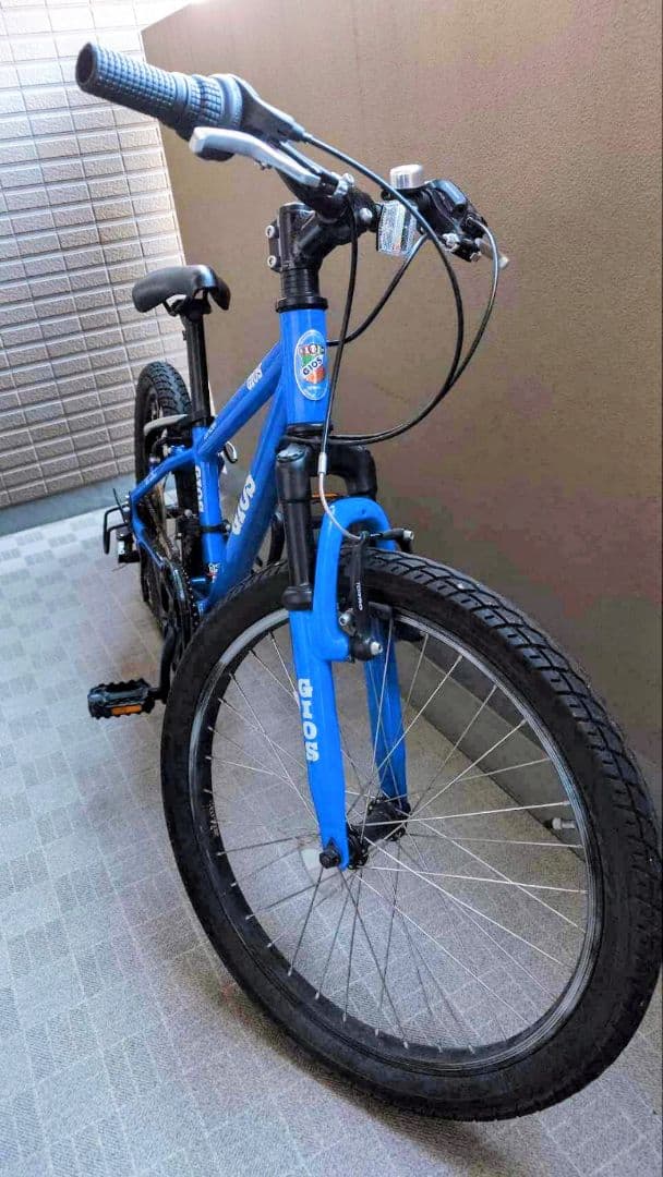 [直接受け取りのみ] GIOS キッズマウンテンバイク 22インチ