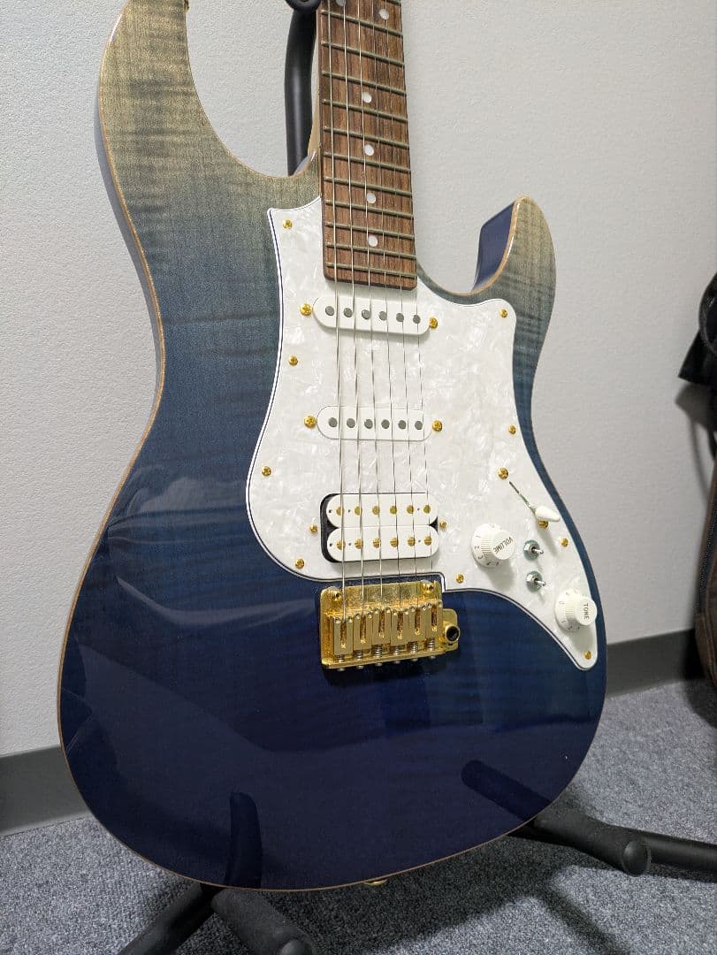 Fujigen EOS2-FM-R/NBG ギター