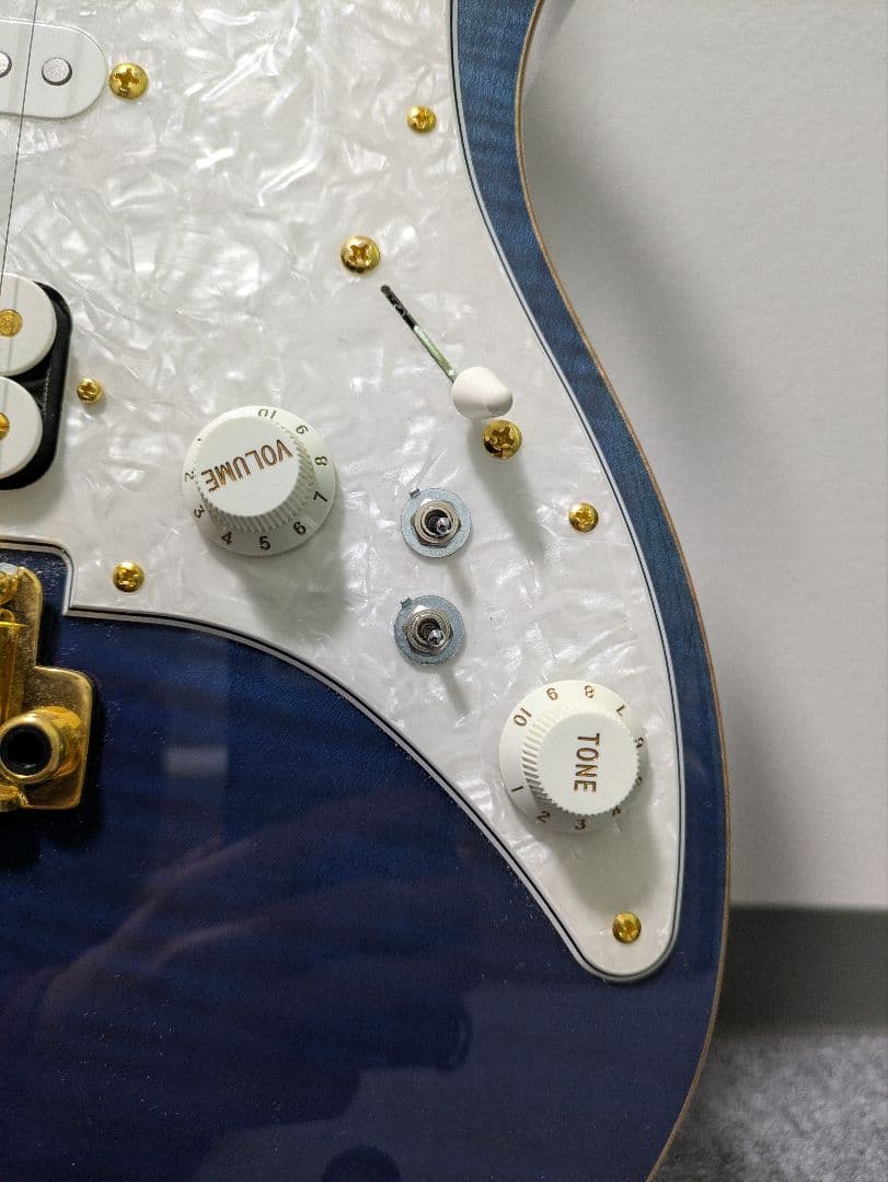 Fujigen EOS2-FM-R/NBG ギター