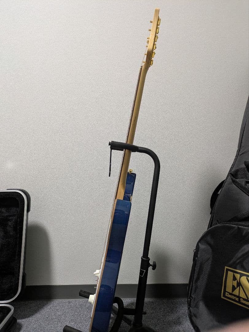 Fujigen EOS2-FM-R/NBG ギター