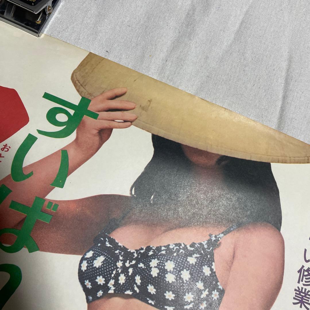 映画ポスター すいばれ一家　男になりたい　菅原文太　山城新伍　東映