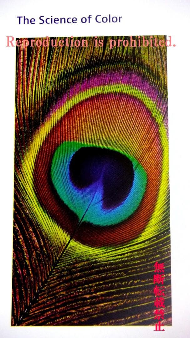 T2　ストラクチャルフレア ウレタン ラズリブルー　３３ｇセット