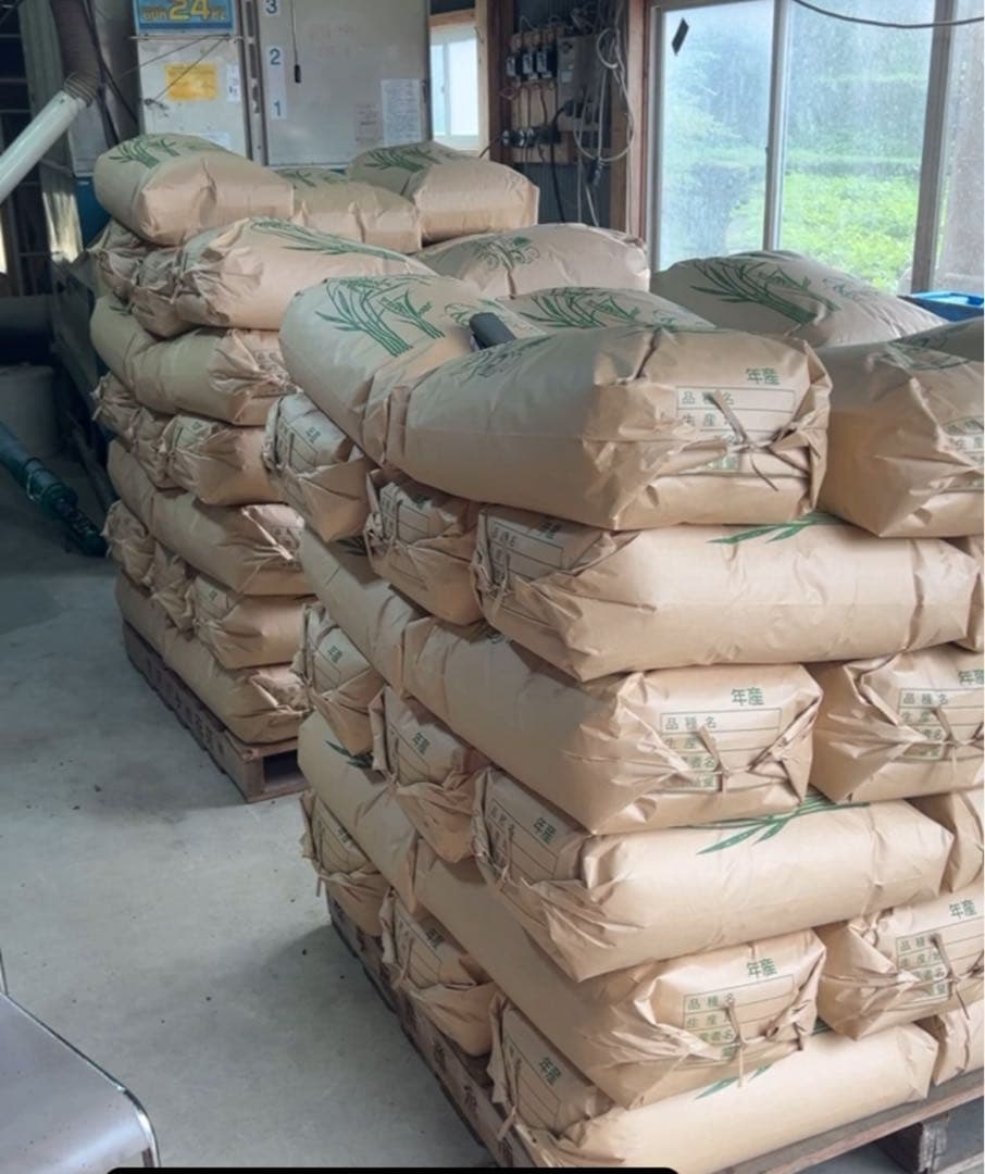 滋賀県　コシヒカリ　玄米　30キロ