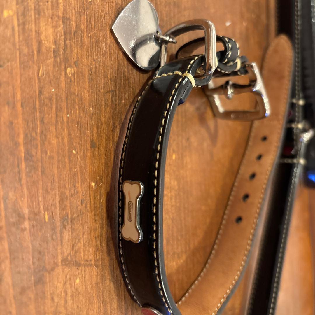 COACHレザー 犬用リードと首輪セット