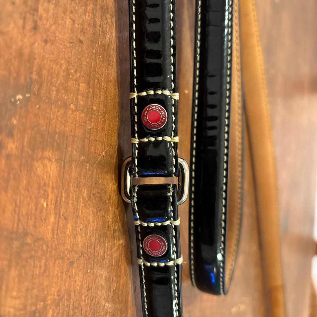 COACHレザー 犬用リードと首輪セット